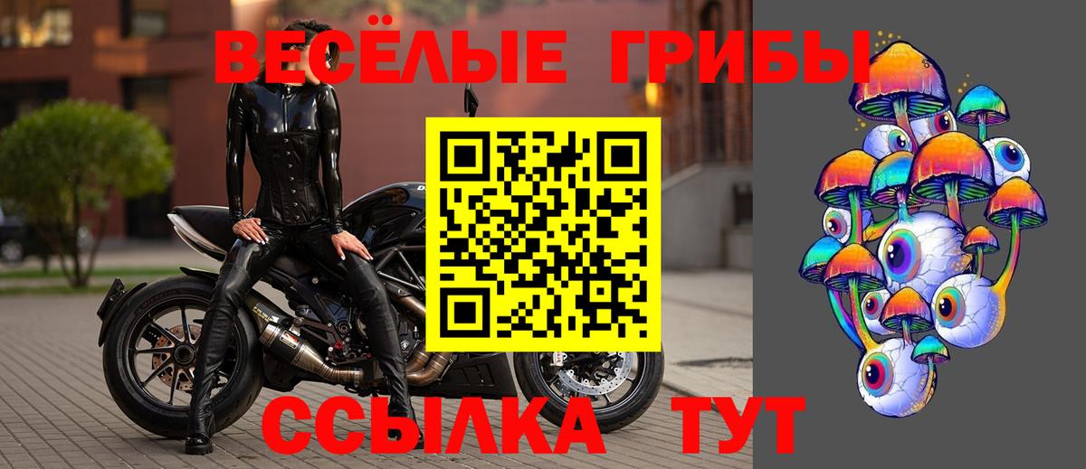 Псилоцибиновые грибы Magic Shrooms  Галлюциногенные грибы Psilocybe  Липецк  Вход с VPN 